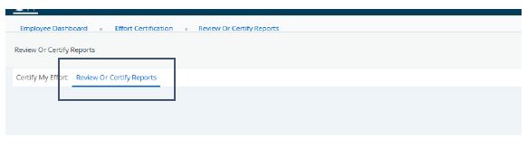 Screen to select Review or Certify Reports