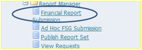 Financial Report Submission choice