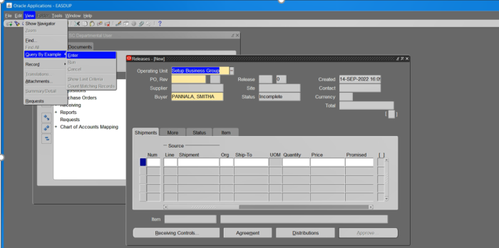 Query screen for BPO release