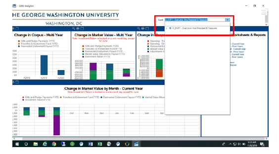 Reviewing dashboard panel for single endowment fund screenshot