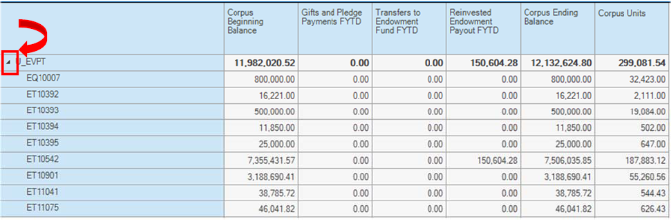 Screenshot of worksheet showing individual fund level data