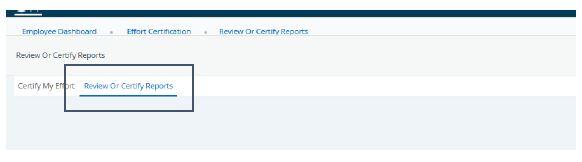 Screen to select Review or Certify Reports